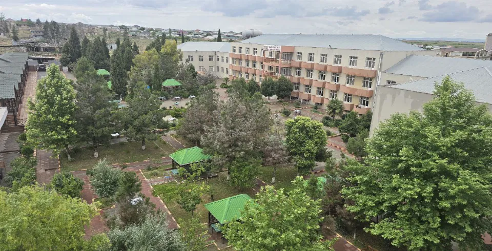 Möcüzəli Naftalan